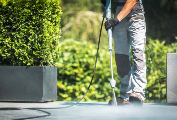Best Fence Cleaning  in Mcminnville, OR